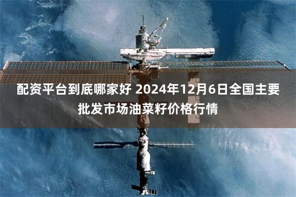 配资平台到底哪家好 2024年12月6日全国主要批发市场油菜籽价格行情