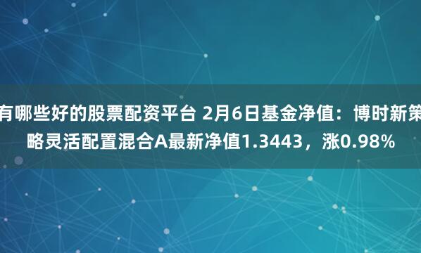 有哪些好的股票配资平台 2月6日基金净值：博时新策略灵活配置混合A最新净值1.3443，涨0.98%