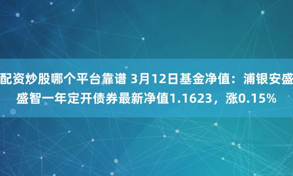 配资炒股哪个平台靠谱 3月12日基金净值：浦银安盛盛智一年定开债券最新净值1.1623，涨0.15%