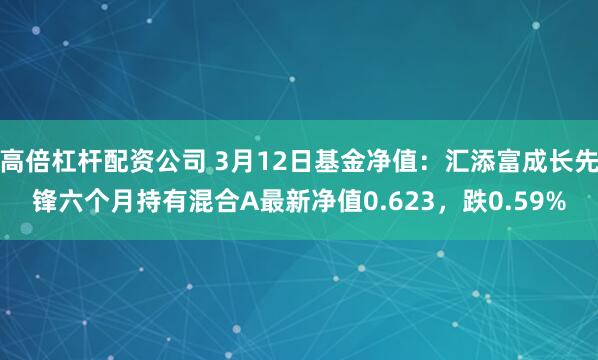 高倍杠杆配资公司 3月12日基金净值：汇添富成长先锋六个月持有混合A最新净值0.623，跌0.59%