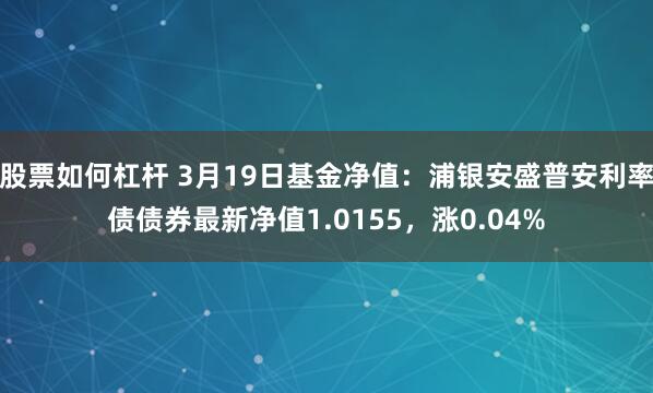 股票如何杠杆 3月19日基金净值：浦银安盛普安利率债债券最新净值1.0155，涨0.04%